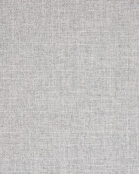B6774 GREY by  Greenhouse Fabrics 