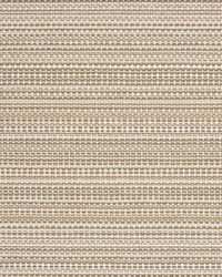 B6894 DRIFTWOOD by  Greenhouse Fabrics 