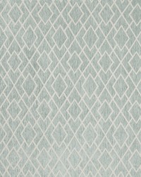 B7596 RAIN by  Greenhouse Fabrics 