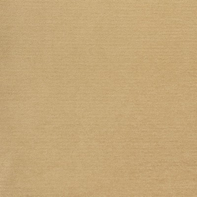 Greenhouse Fabrics B8524 SAND in E14 Brown POLYESTER Fire Rated Fabric