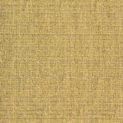 Greenhouse Fabrics B8578 DIJON in E15 POLYESTER Fire Rated Fabric