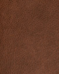 Greenhouse B8694 by  Greenhouse Fabrics 