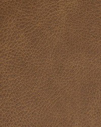 Greenhouse B8702 by  Greenhouse Fabrics 