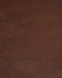 Greenhouse B8704 by  Greenhouse Fabrics 