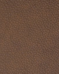 Greenhouse B8707 by  Greenhouse Fabrics 