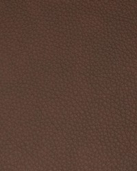 Greenhouse B8708 by  Greenhouse Fabrics 