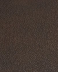 Greenhouse B8711 by  Greenhouse Fabrics 