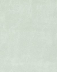 Greenhouse B8716 by  Greenhouse Fabrics 