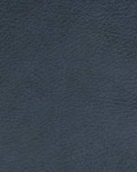 Greenhouse B8720 by  Greenhouse Fabrics 