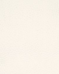 Greenhouse B8725 by  Greenhouse Fabrics 