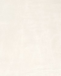 Greenhouse B8726 by  Greenhouse Fabrics 