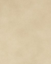 Greenhouse B8731 by  Greenhouse Fabrics 