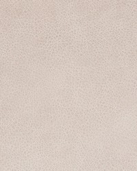 Greenhouse B8732 by  Greenhouse Fabrics 