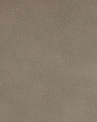 Greenhouse B8734 by  Greenhouse Fabrics 