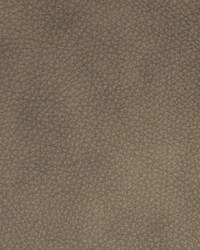 Greenhouse B8736 by  Greenhouse Fabrics 