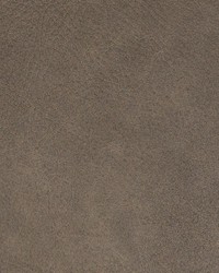 Greenhouse B8737 by  Greenhouse Fabrics 