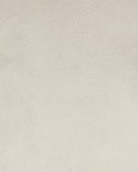 Greenhouse B8741 by  Greenhouse Fabrics 