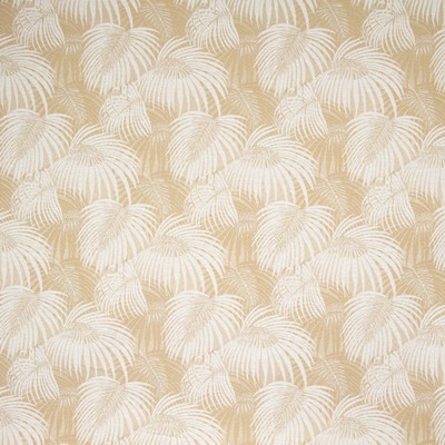 Greenhouse Fabrics B8853 SHORTBREAD in E18 POLYESTER  Blend Fire Rated Fabric