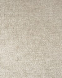 Greenhouse B9744 by  Greenhouse Fabrics 