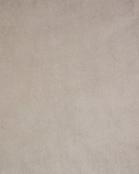 Greenhouse B9746 by  Greenhouse Fabrics 