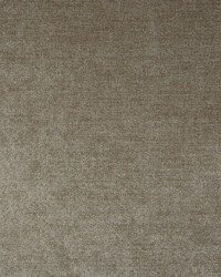 Greenhouse B9754 by  Greenhouse Fabrics 