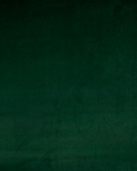 Greenhouse B9797 by  Greenhouse Fabrics 