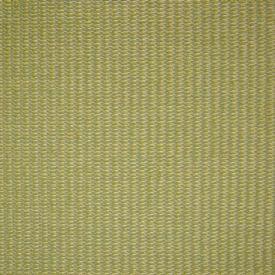 Greenhouse Fabrics Greenhouse B9871