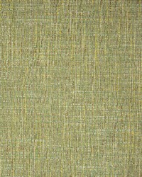 Greenhouse B9874 by  Greenhouse Fabrics 