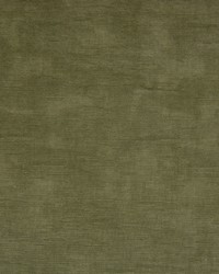 Greenhouse B9888 by  Greenhouse Fabrics 