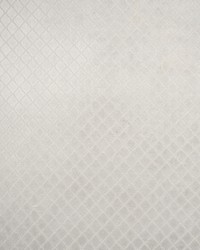 Greenhouse F1551 by  Greenhouse Fabrics 