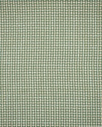 Greenhouse F1672 by  Greenhouse Fabrics 