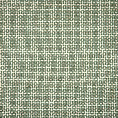 Greenhouse Fabrics Greenhouse F1672
