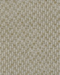 Greenhouse F1700 by  Greenhouse Fabrics 