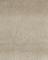 Greenhouse F1787 by  Greenhouse Fabrics 