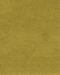 Greenhouse F1836 by  Greenhouse Fabrics 