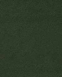 Greenhouse F1840 by  Greenhouse Fabrics 