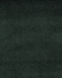 Greenhouse F1842 by  Greenhouse Fabrics 