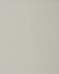 Greenhouse F1853 by  Greenhouse Fabrics 