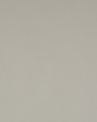 Greenhouse F1854 by  Greenhouse Fabrics 