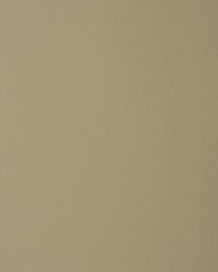 Greenhouse F1857 by  Greenhouse Fabrics 