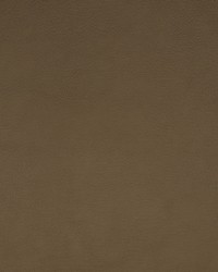 Greenhouse F1859 by  Greenhouse Fabrics 