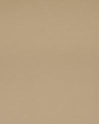 Greenhouse F1861 by  Greenhouse Fabrics 