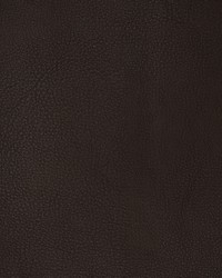 Greenhouse F1871 by  Greenhouse Fabrics 