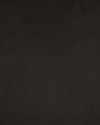 Greenhouse F1874 by  Greenhouse Fabrics 