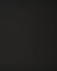 Greenhouse F1875 by  Greenhouse Fabrics 