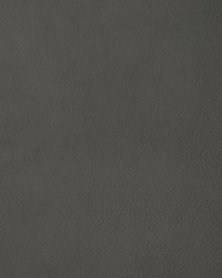 Greenhouse F1878 by  Greenhouse Fabrics 