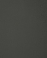 Greenhouse F1879 by  Greenhouse Fabrics 