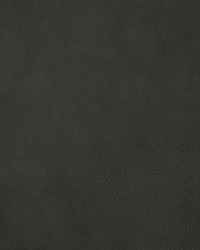 Greenhouse F1880 by  Greenhouse Fabrics 