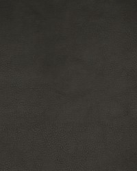 Greenhouse F1883 by  Greenhouse Fabrics 