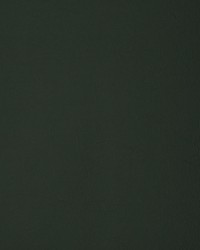 Greenhouse F1897 by  Greenhouse Fabrics 